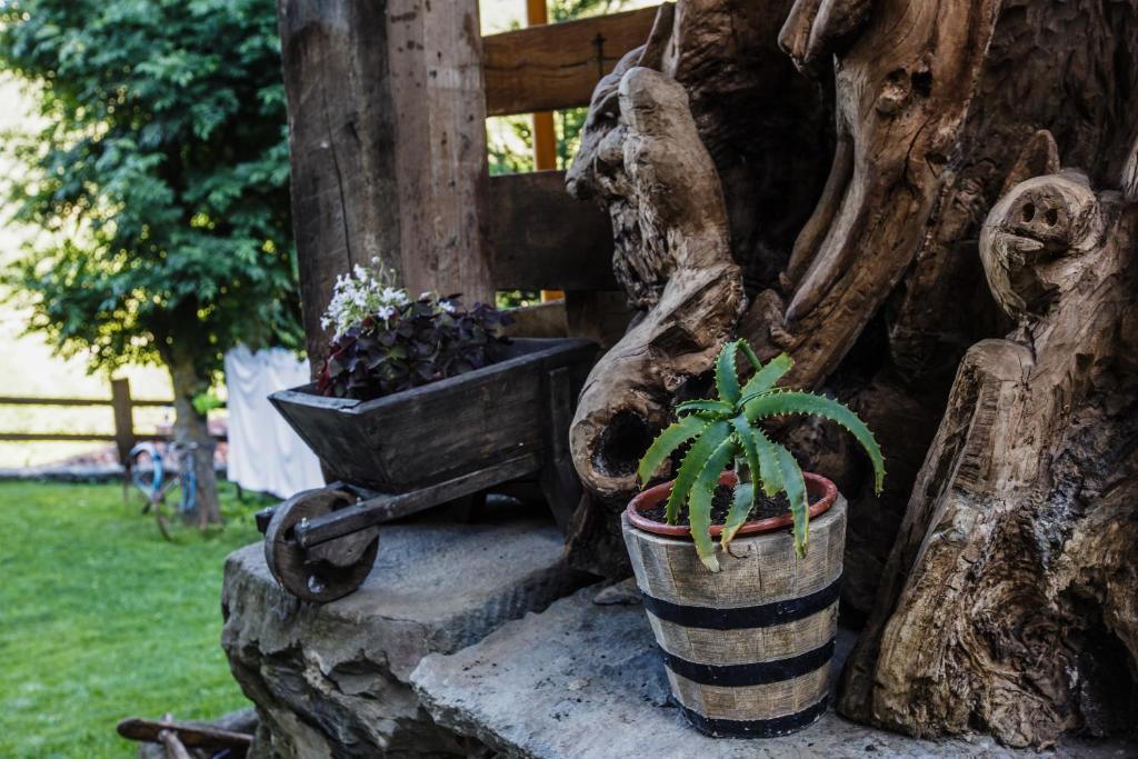 Zahrada ubytování La Posada de Cucayo