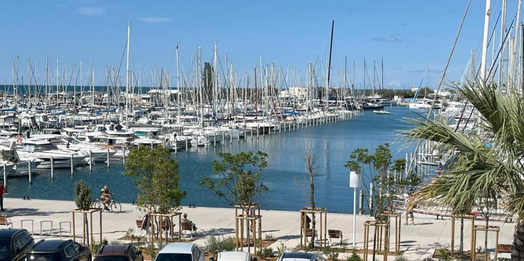 un port de plaisance avec beaucoup de bateaux dans l'eau dans l'établissement Studio sur le port B, à La Grande Motte