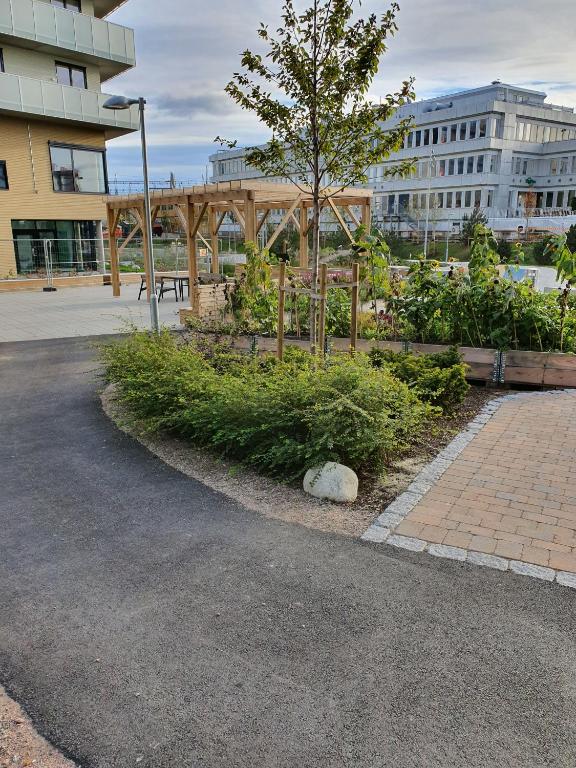 a park with a tree and bushes in a city at Oslo Golden Choice in Oslo