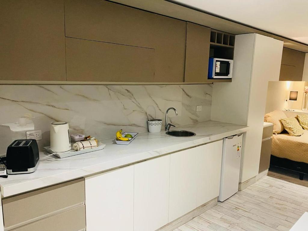 cocina con encimera y fregadero en Monoambiente Las Heras, en Salta