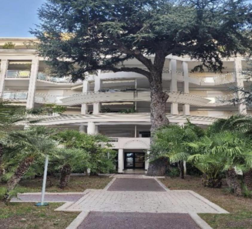 un grand bâtiment blanc avec un arbre devant dans l'établissement centre cannes musiciens, à Cannes