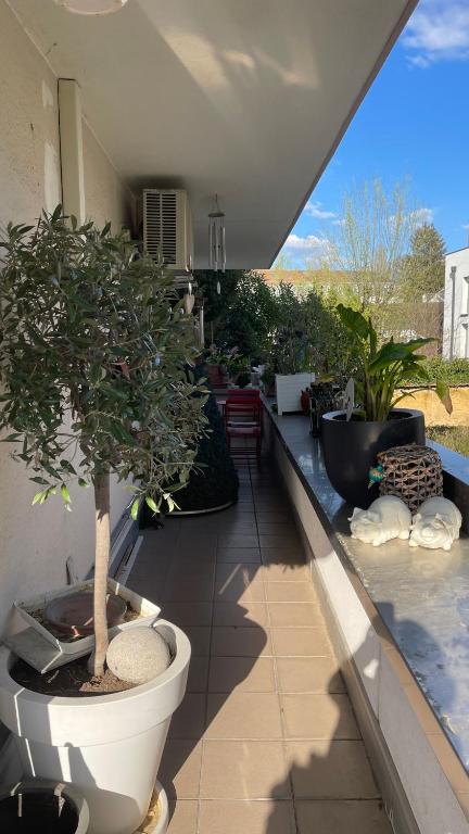 La galerie – photo 14