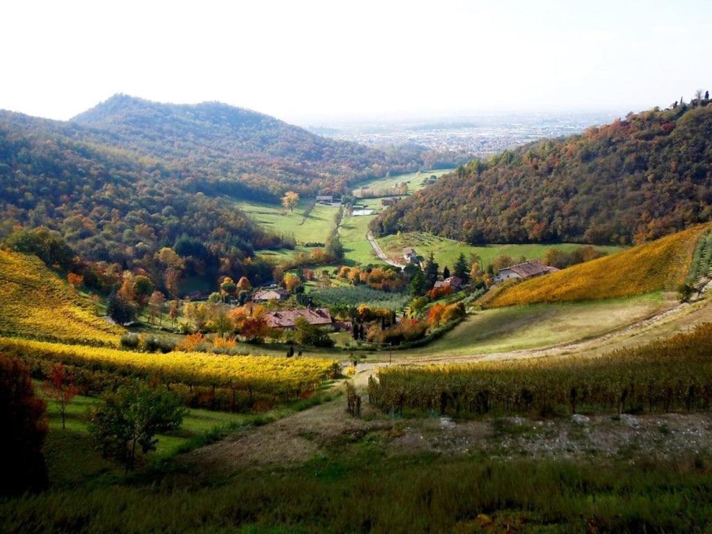 Příroda nedaleko bed and breakfast