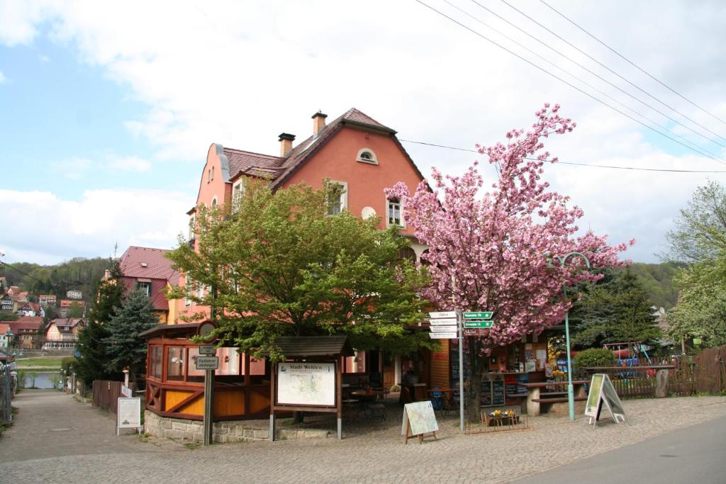 a building with a tree on the side of a street at Ferienwohnungen Langer in Stadt Wehlen