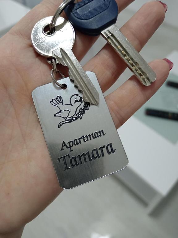 Fotografie z fotogalerie ubytování Apartman Tamara v destinaci Popadić
