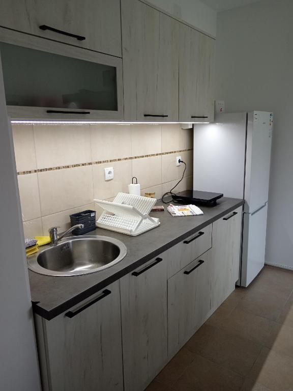 Kuchyň nebo kuchyňský kout v ubytování Apartman Tamara