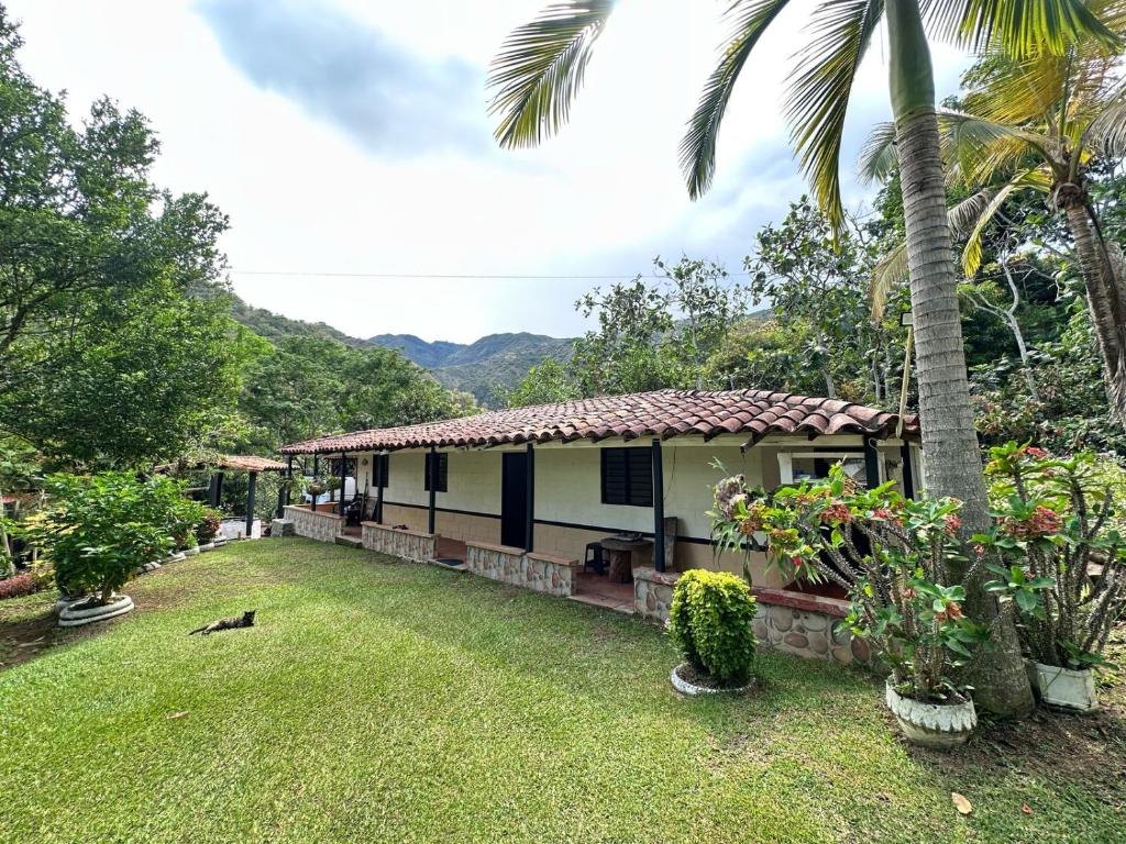 une petite maison avec un palmier dans une cour dans l'établissement Casa Verano la rumbita Naturaleza, Piscina y Rio, à Santa Fe de Antioquia