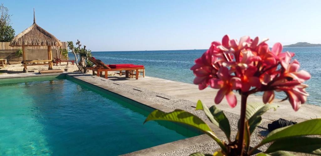 a flower next to a swimming pool next to the ocean at Alden Beach House in Sekotong