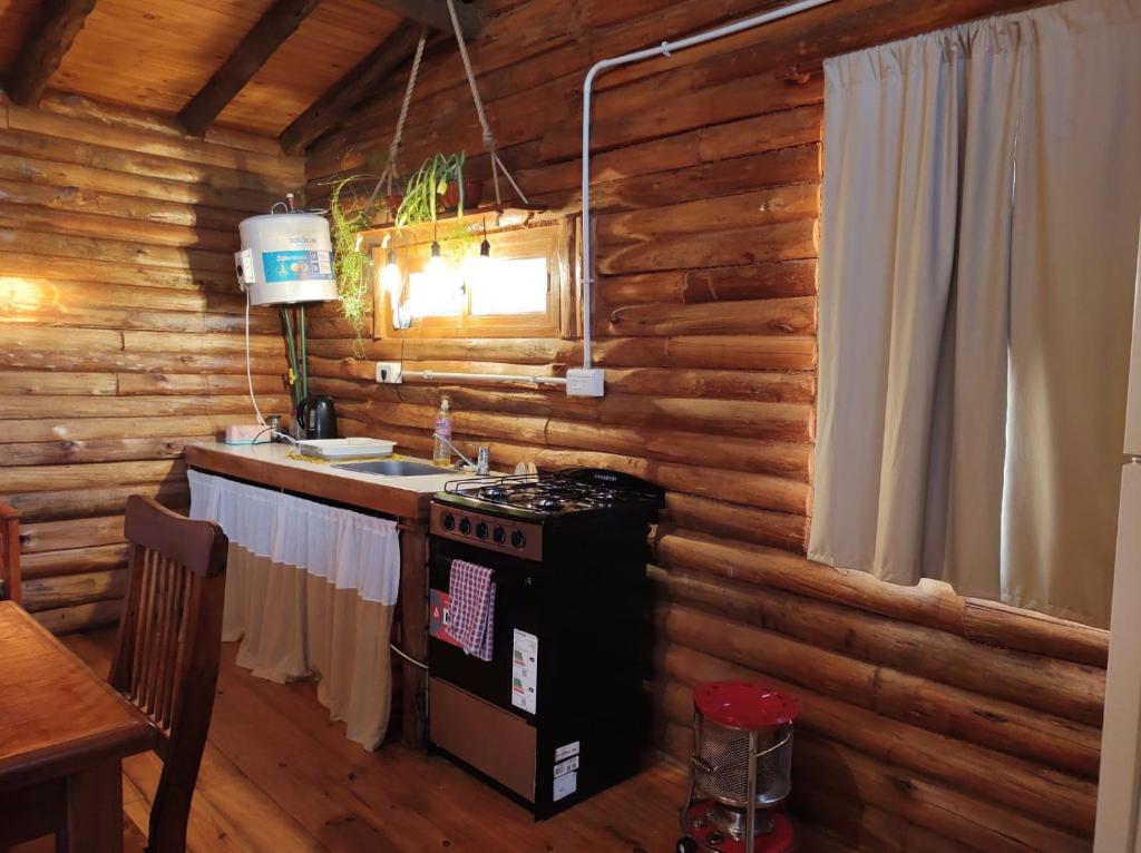 a kitchen with a stove and a sink in a cabin at Cabaña La Obsidiana in San Miguel del Monte