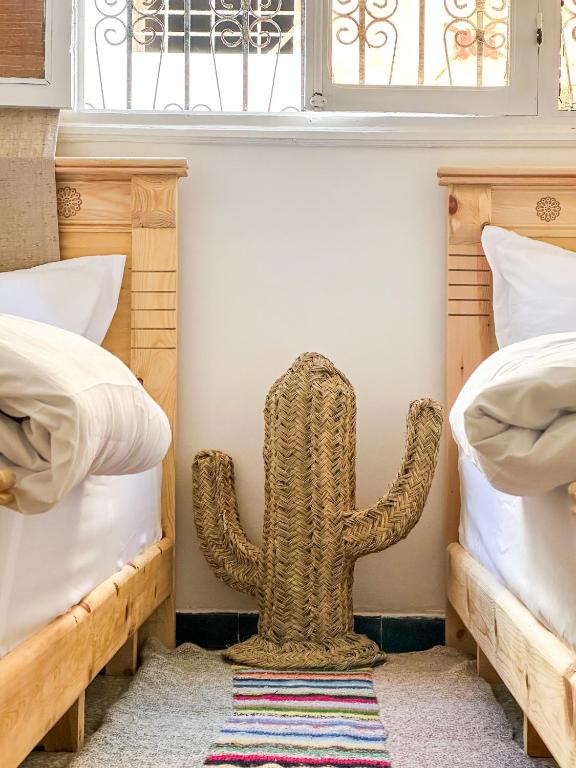 a cactus sitting in a room between two beds at Surf and Stay Anza - Surf Territory in Agadir