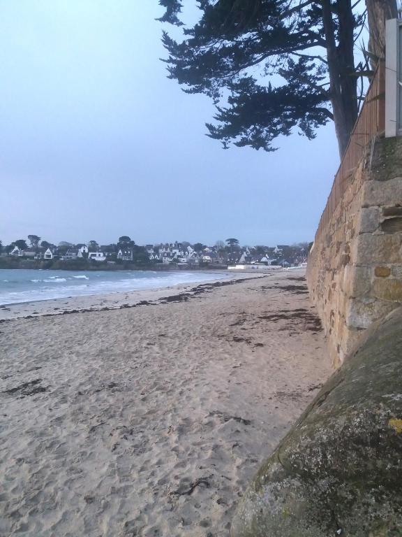 une plage de sable avec un arbre et un bâtiment dans l'établissement Ty Tad, à Plougonvelin