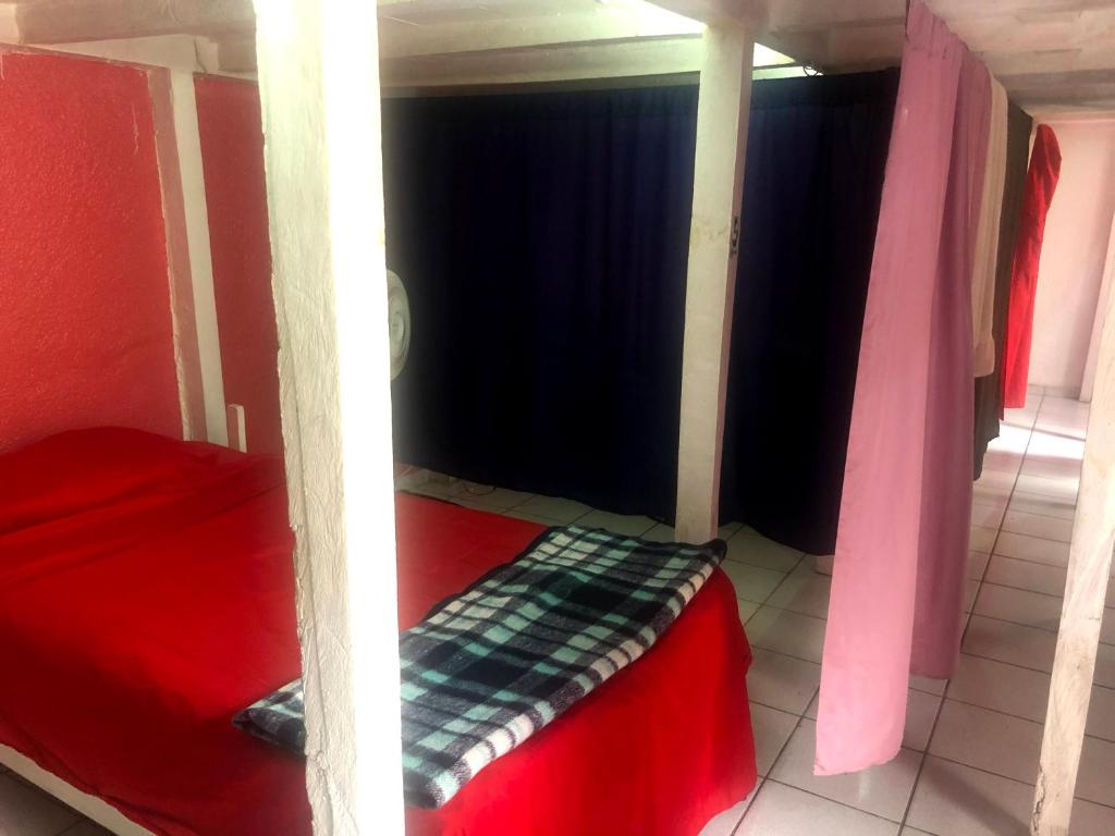 Iguana Hostel Oaxaca - Single Bed In Mixed Dormitory Room
