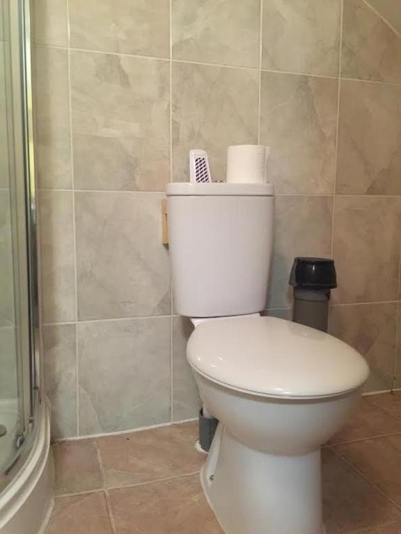 London Olympus Hotel - Resim 7