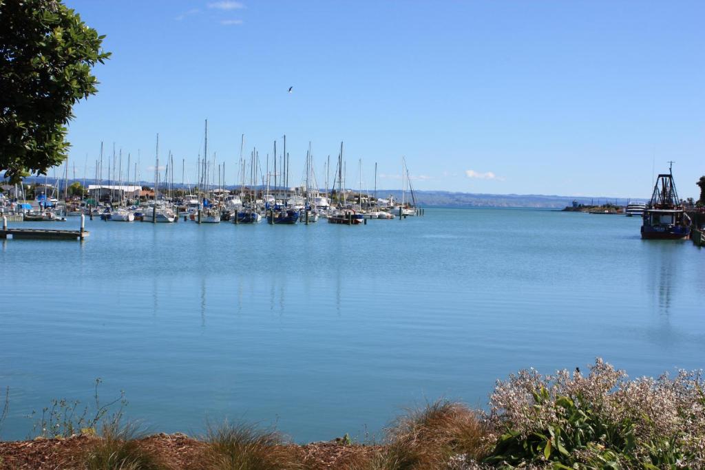 Anchorage Motor Lodge - Resim 11