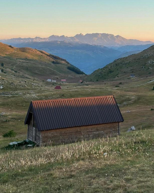 an old barn in a field with mountains in the background at Djedov do 2 in Babljak
