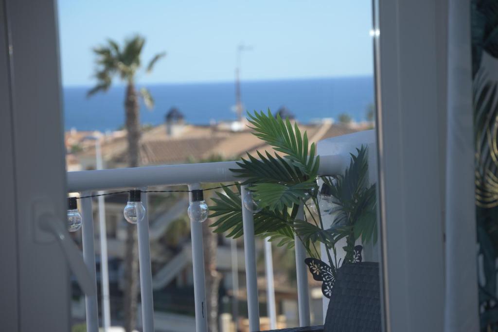 Casa Amor