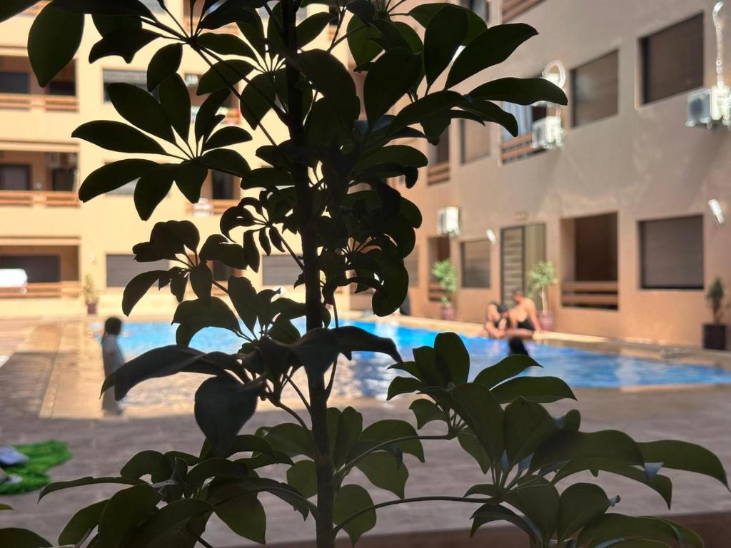 マラケシュにあるLuxurious 2 Bedroom Condo City Center with Pool ' train station ' Aeroportのギャラリーの写真