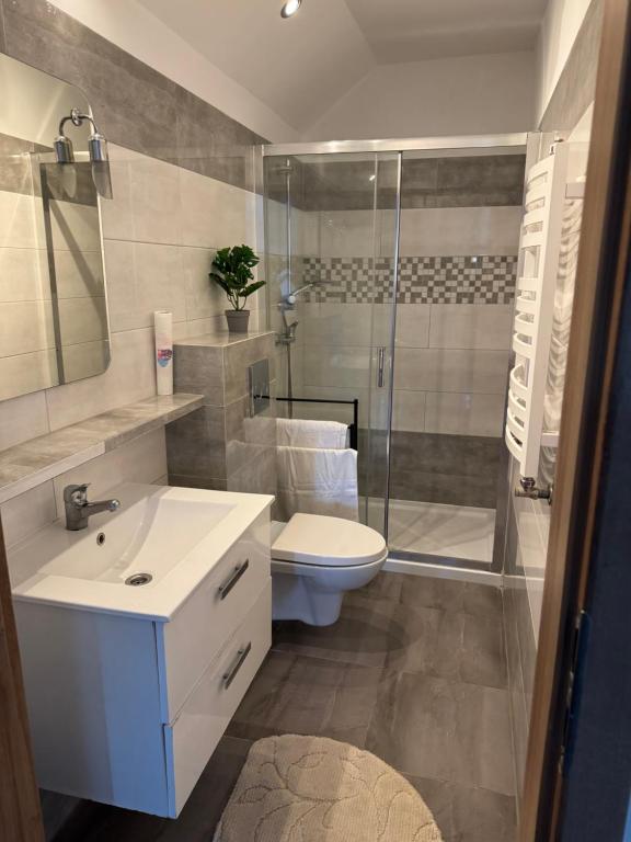 a bathroom with a toilet and a sink and a shower at Oaza Spokoju in Augustów