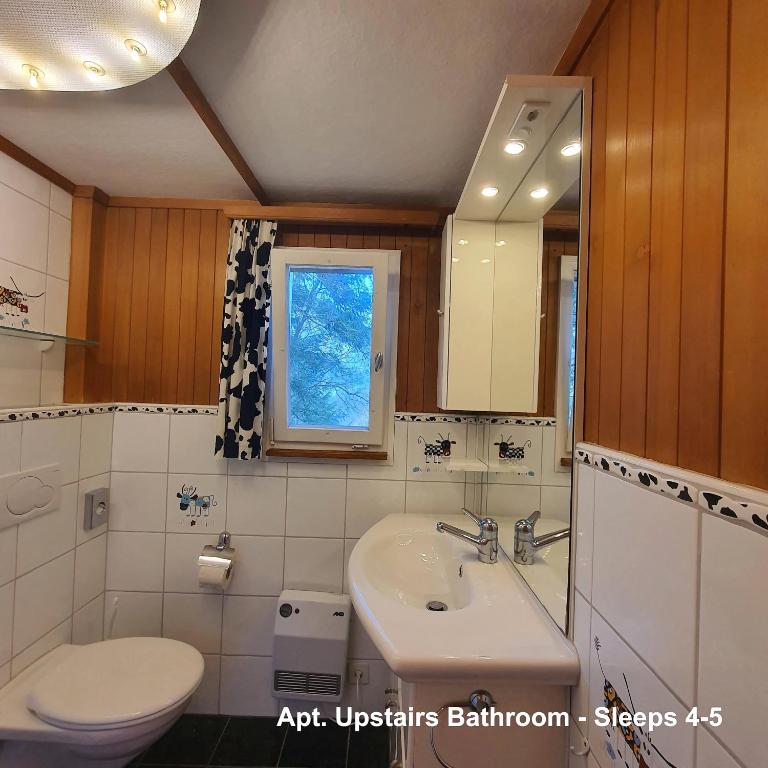 Un baño de Tannenboden