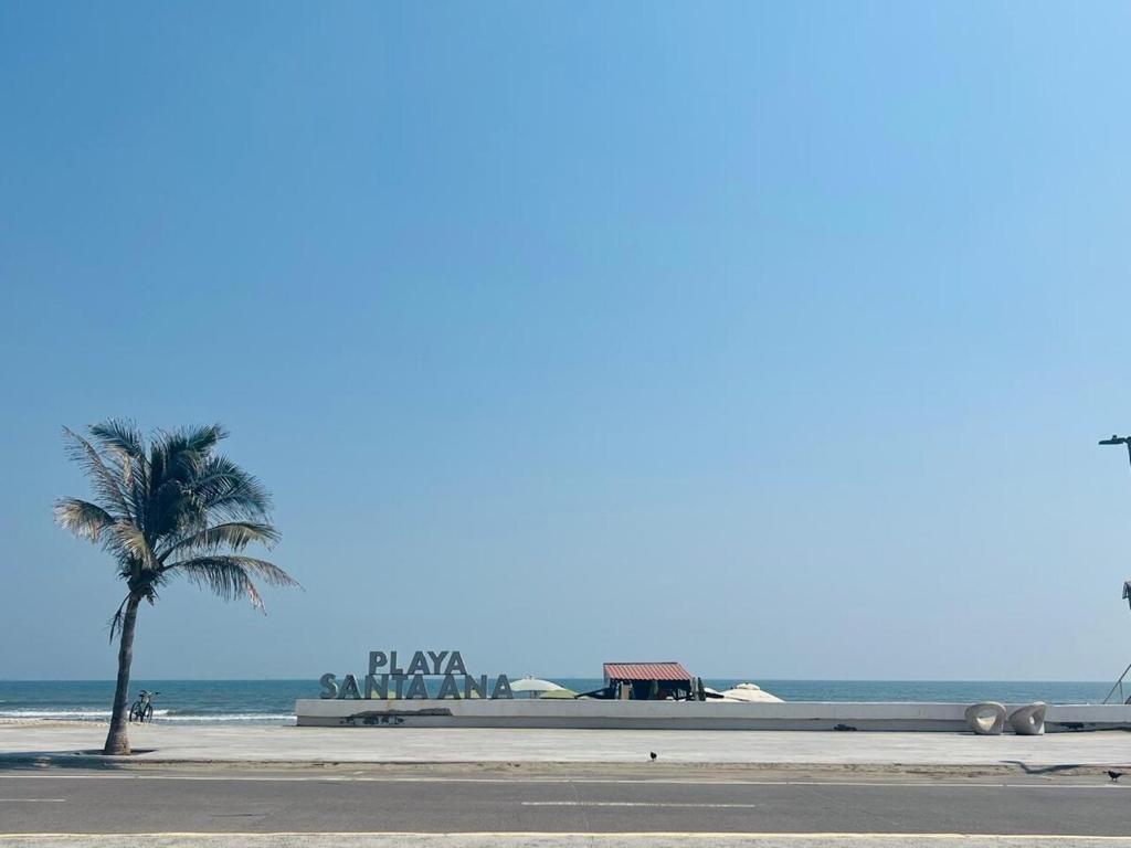 a palm tree on a beach with the ocean at Departamento Perla Ngra a pasos del Mar in Boca del Río