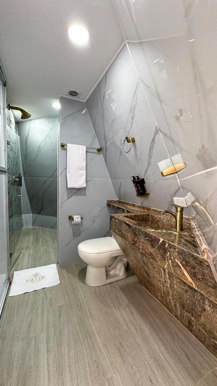 e bagno con lavandino, servizi igienici e doccia. di Hotel PAUCHÉ Topiario Zapatoca a Zapatoca