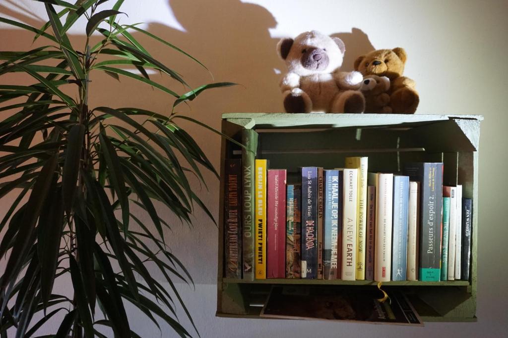 Knihovna v apartmánu