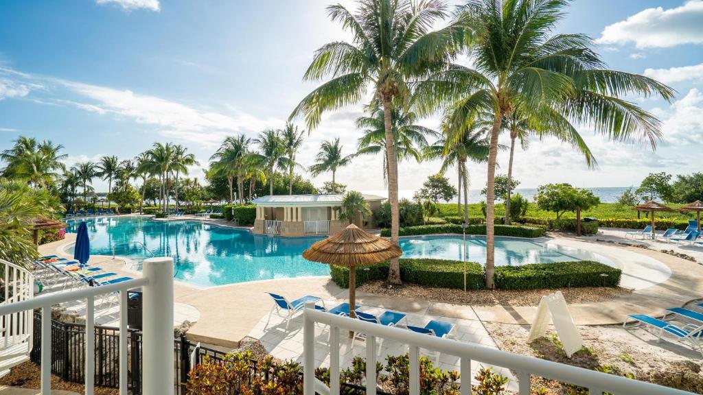 a pool at a resort with palm trees and chairs at 412 Mariners Club in Key Largo