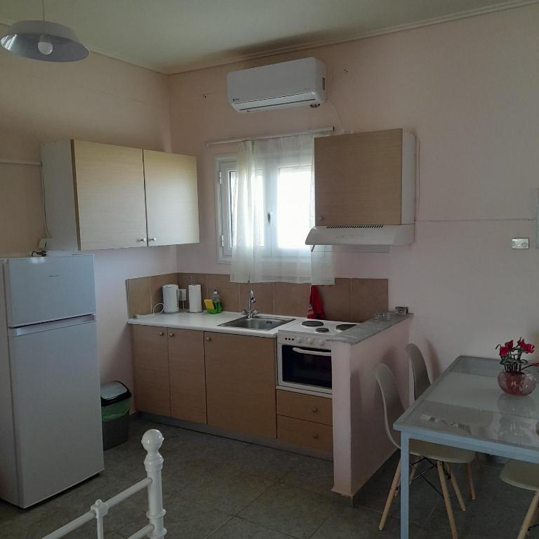Kuchyň nebo kuchyňský kout v ubytování Villa Constantsia
