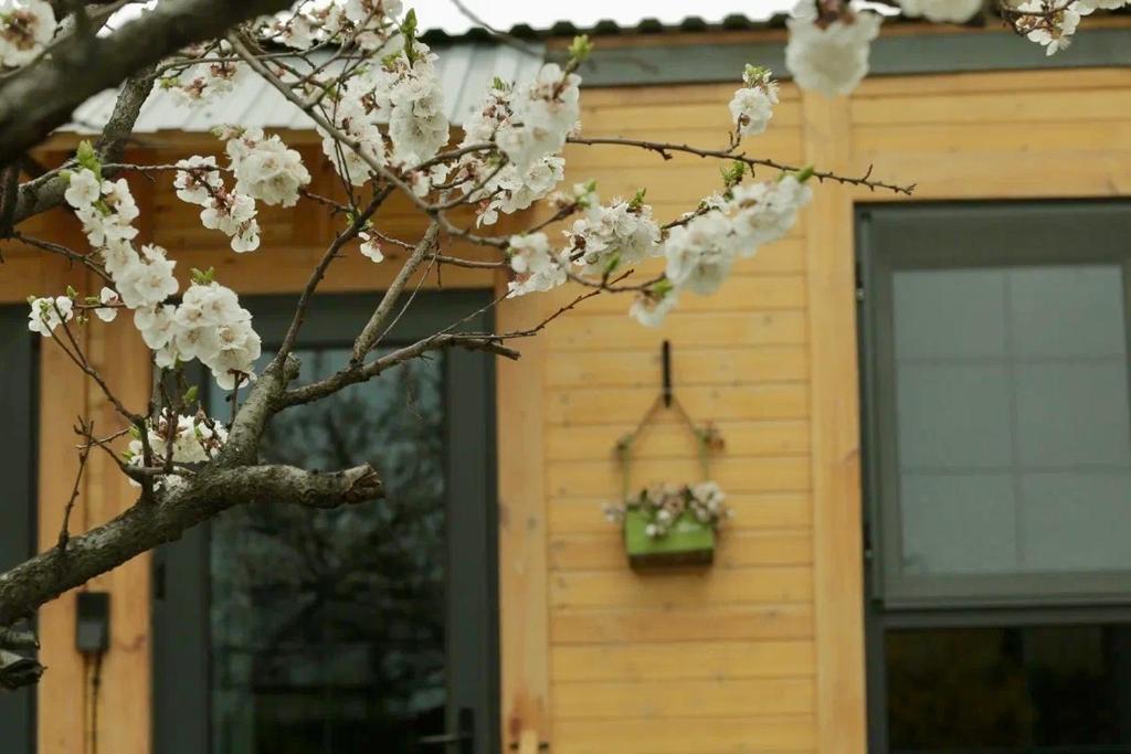 Fotografie z fotogalerie ubytování Dream House v Jerevanu