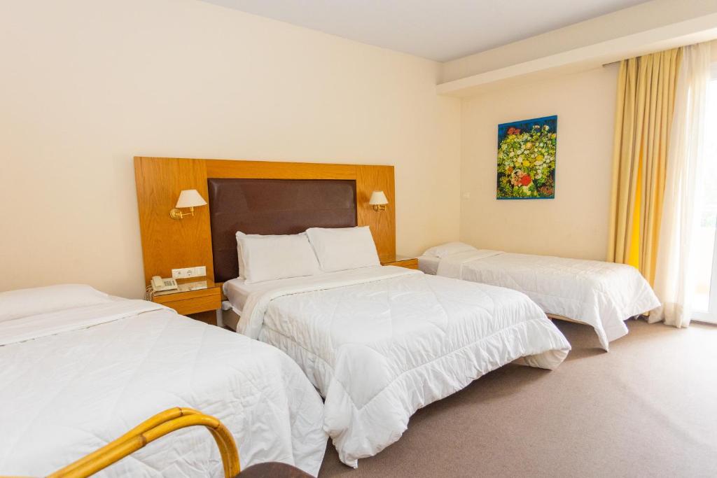 Hotel Aspassia - Resim 14