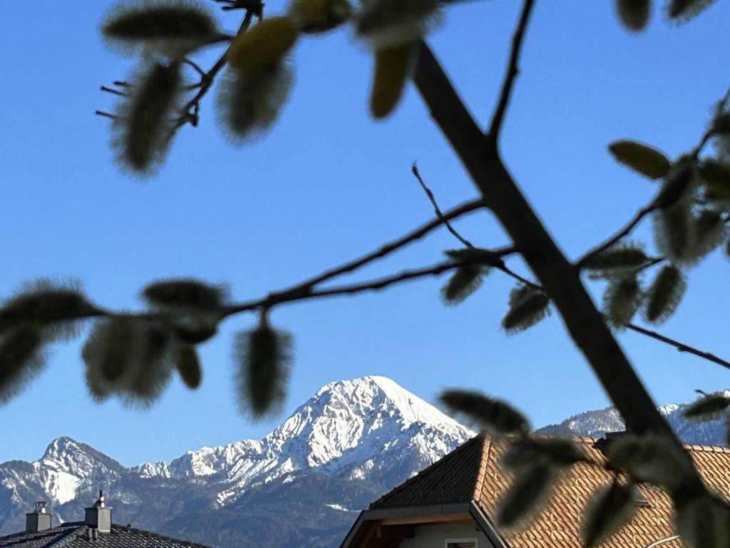Widok na góry z tego apartamentu