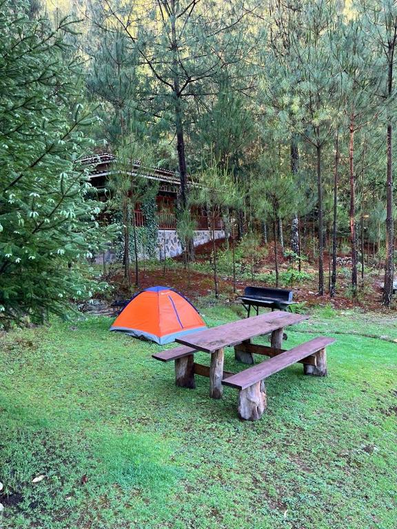 Zahrada ubytování Los Azufres Spa Natural