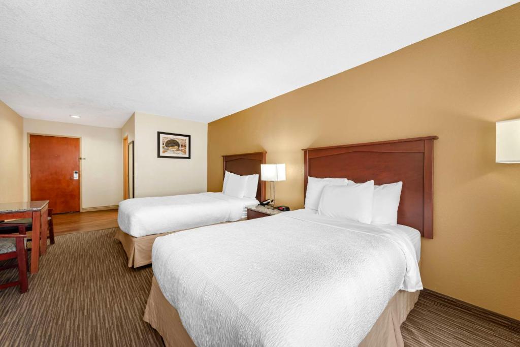 Best Western Executive Inn & Suites - Camera Doppia - Ammessi Animali Domestici