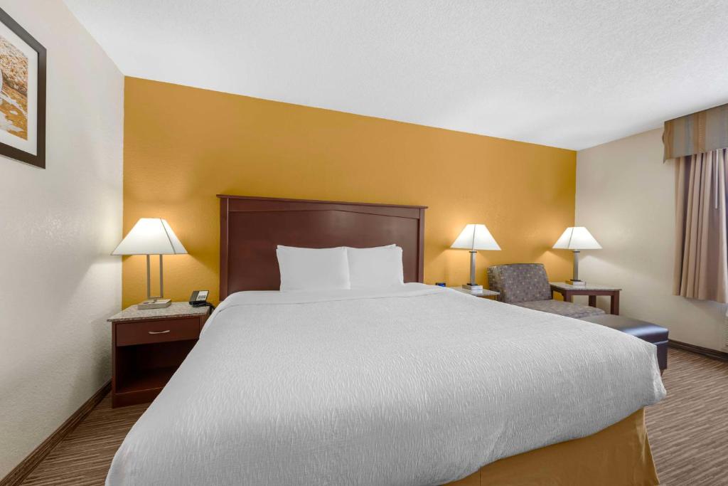 Best Western Executive Inn & Suites - Camera King - Ammessi Animali Domestici