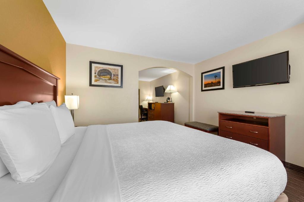 Best Western Executive Inn & Suites - Suite King - Non Fumatori