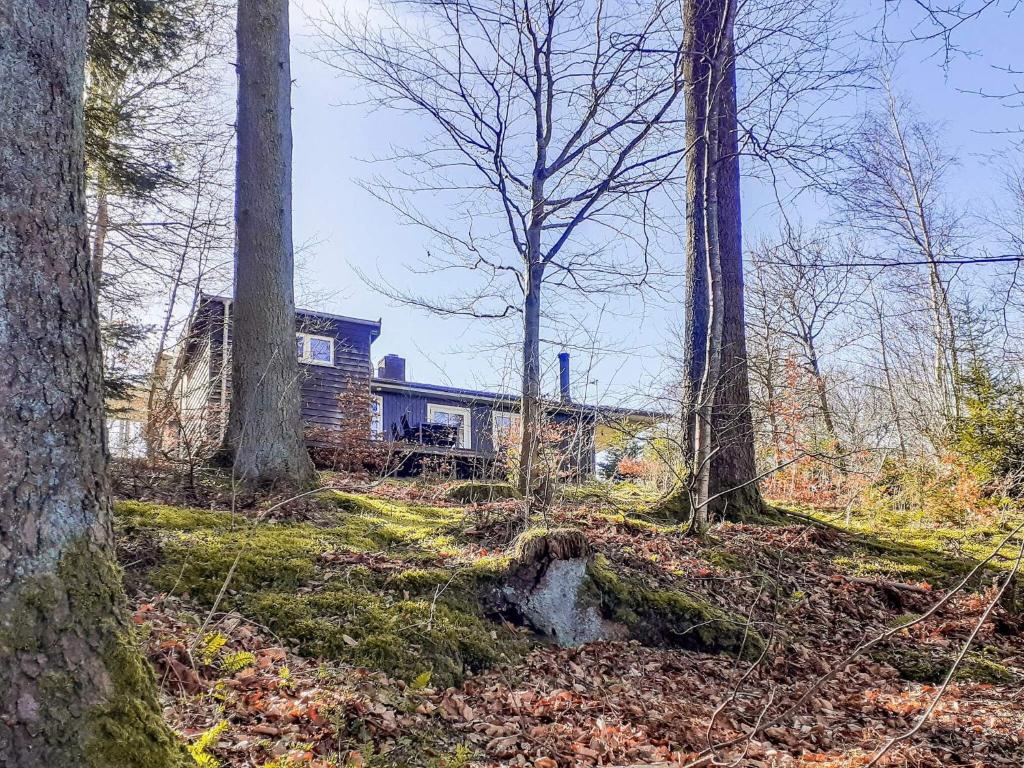 Zahrada ubytování Holiday home Aars II