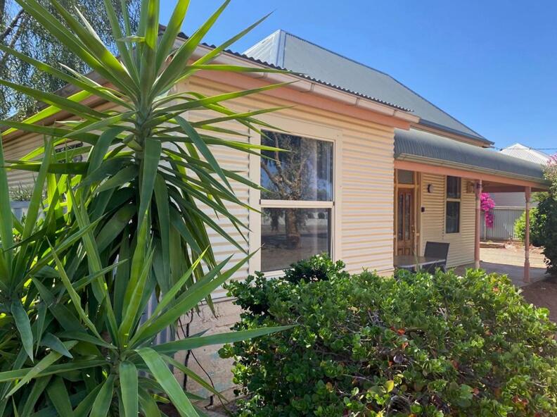 a house with a palm tree in front of it at Miners' cottage in Broken Hill