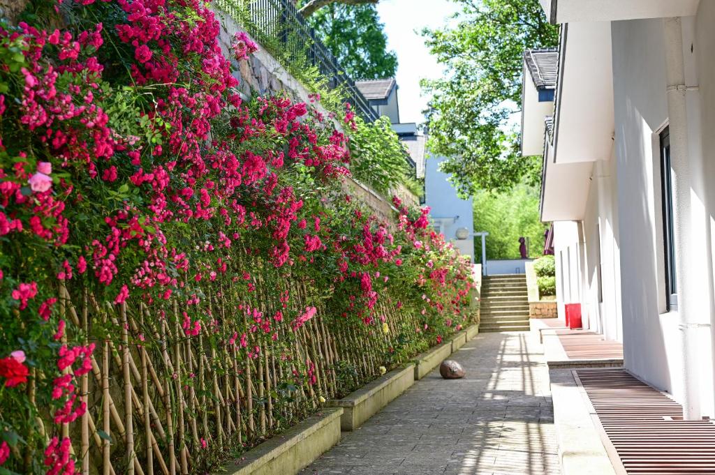Zahrada ubytování Moganshan Xinyuanju Homestay