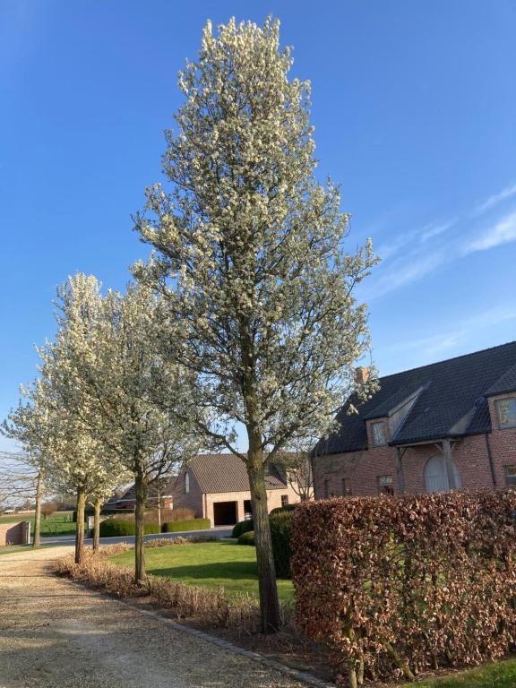 Fotografie z fotogalerie ubytování Hoeve Sterrewijk v destinaci Aalter