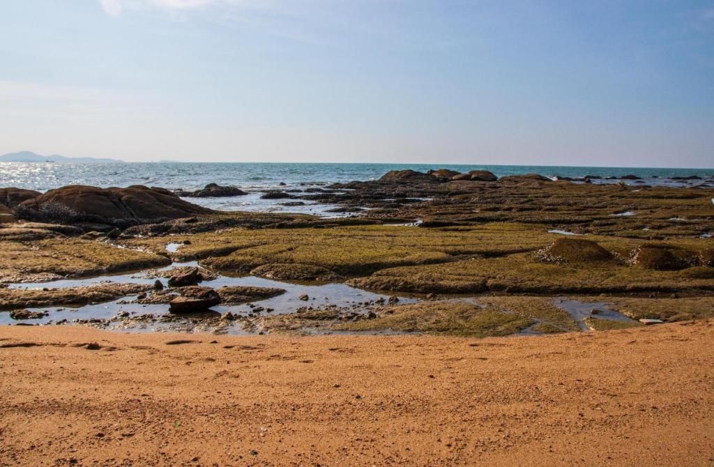 Collection O JA Siam City - Resim 20