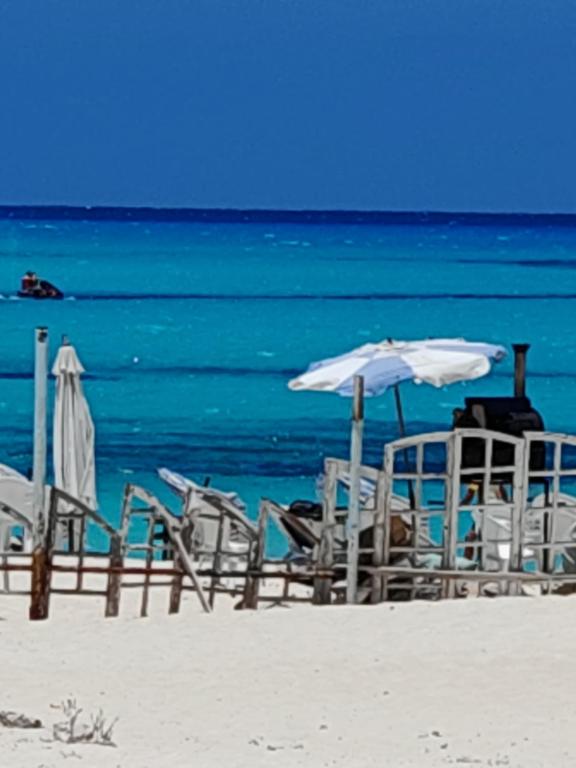 Un grupo de sillas y sombrillas en una playa. en See you soon الشاطئ الأزرق, en Marsa Matruh