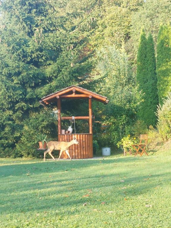 Zahrada ubytování Privatzimmer am Weinbrunnen