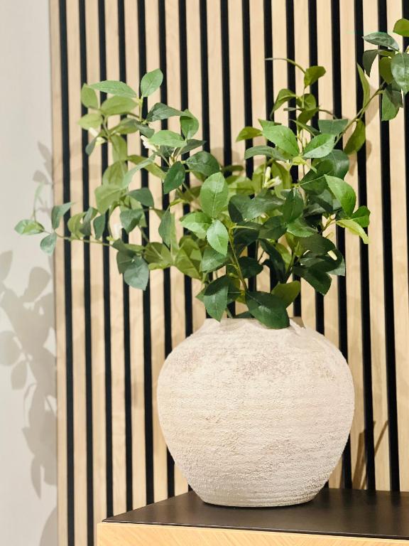une plante dans un vase blanc assis sur une table dans l'établissement Belle Vue Malaga Suite, à Malaga