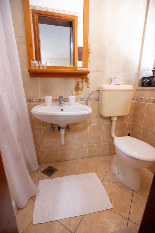 Koupelna v ubytování Guesthouse Sanabor