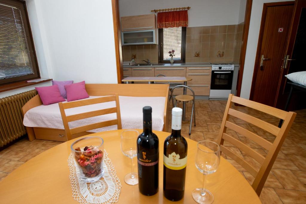 Kuchyň nebo kuchyňský kout v ubytování Guesthouse Sanabor
