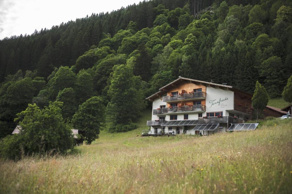 Příroda nedaleko apartmánu