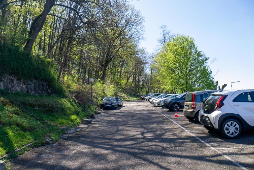 Fotografie z fotogalerie ubytování Vue sur la saone v destinaci Lyon