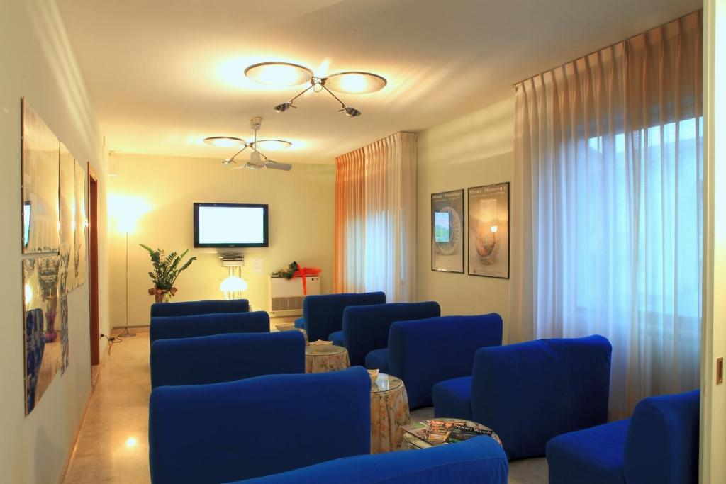 TV a/nebo společenská místnost v ubytování Hotel Alexandra