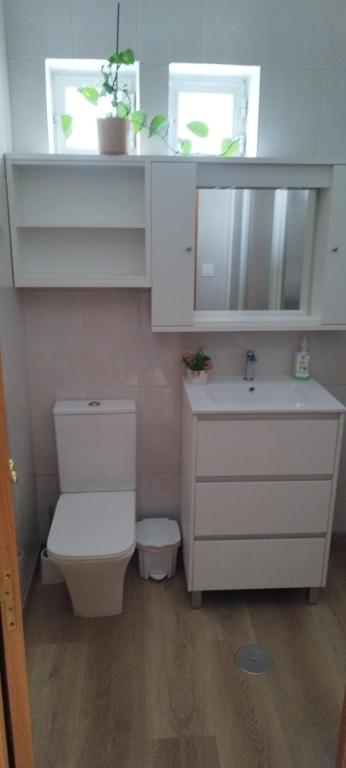 Kúpeľňa v ubytovaní Alquileres Delfina