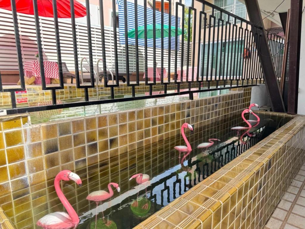 Collection O Bupamontra Chiangmai - Resim 27